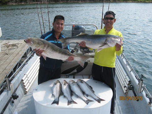 Nice Striped Bass